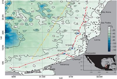 On the Advection of Upwelled Water on the Western Yucatan Shelf